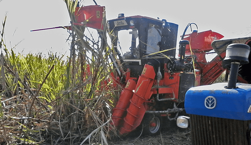 Sugarcane Harvester Harvesting Shaktiman