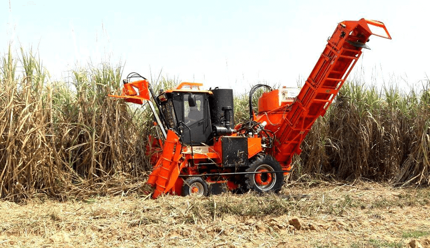 Sugarcane Harvester Harvesting Shaktiman